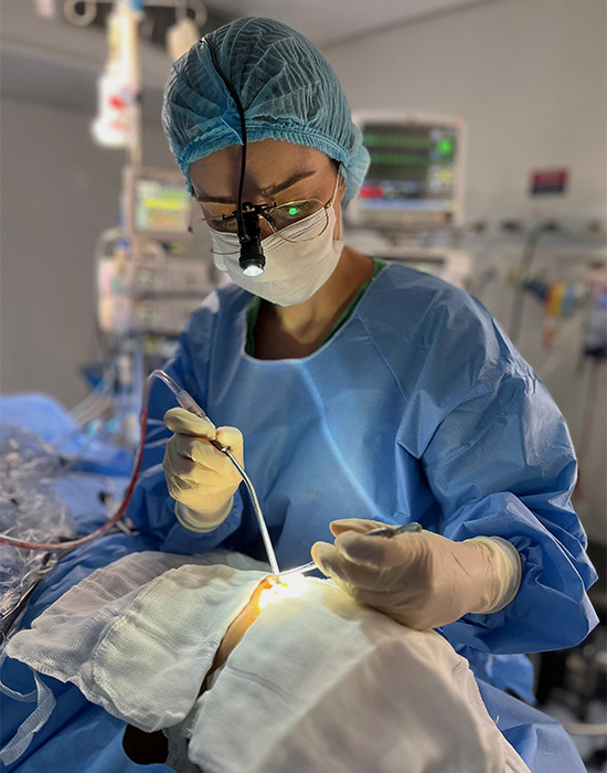 Dra. Daniela Rezende - Otorrinolaringologista no Rio de Janeiro